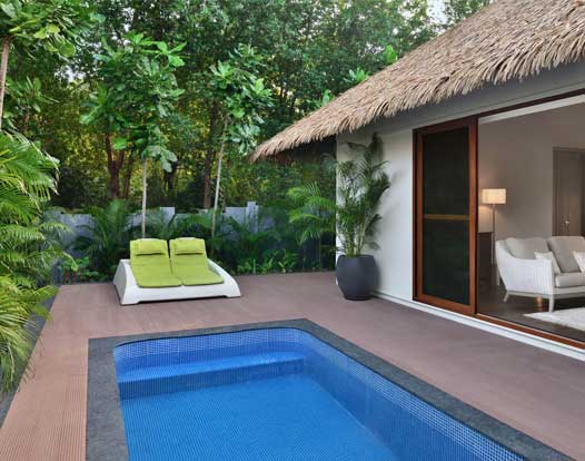 Infinity plunge pool overlooking palms at Bougainville Resorts